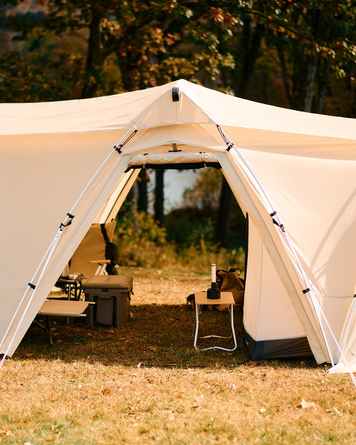 Land Nest Shelter in Ivory
