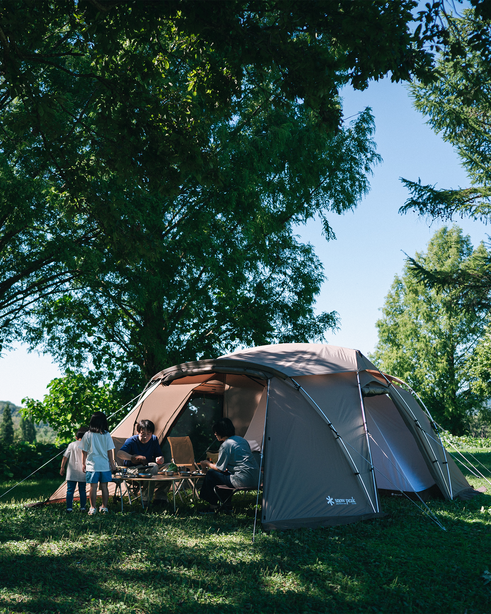 Land Nest Shelter
